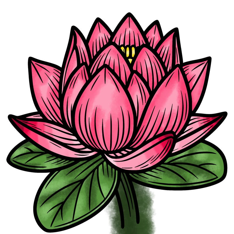lotus flower