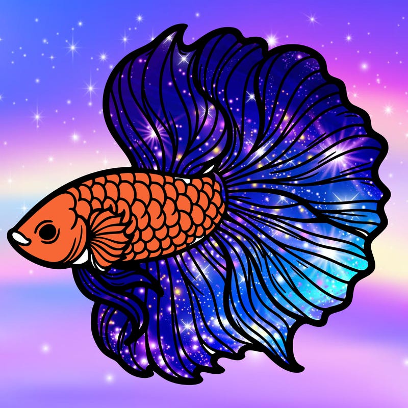 betta fish