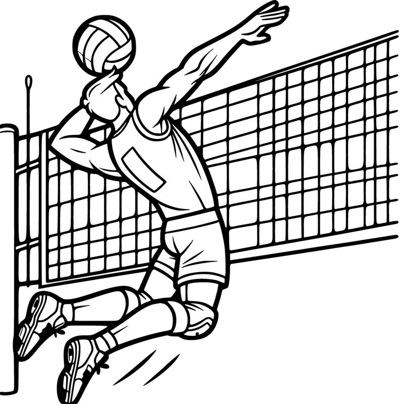 volleyball