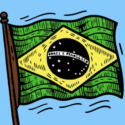 brazilian flag