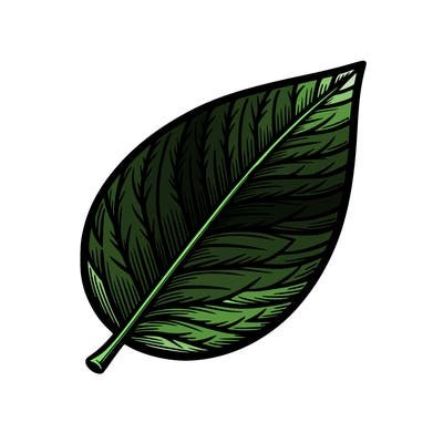 realistic leaf