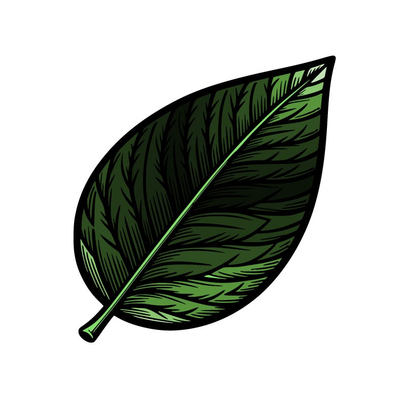 realistic leaf
