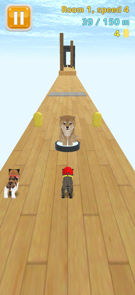 Cat Run - kitten running game - Dos gatitos corriendo en una pista de madera hacia un obstáculo de perro en el juego Cat Run.