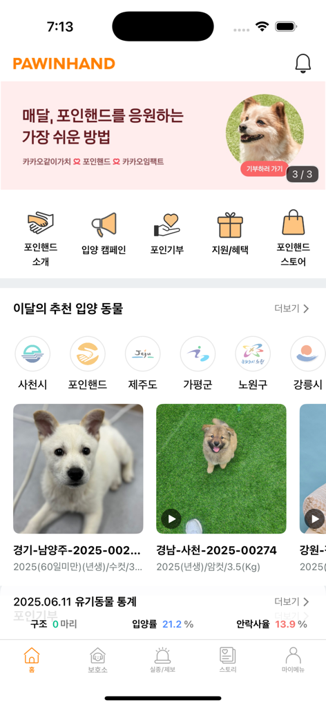 Startbildschirm der Paw In Hand Haustieradoptions-App mit empfohlenen Rettungshunden und Adoptionsstatistiken.