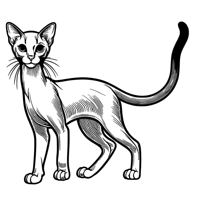 realistic slender cat