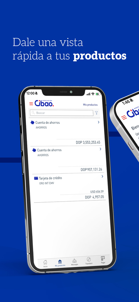 Interfaccia dell'app di mobile banking che mostra i saldi dei conti di risparmio e delle carte di credito in DOP e USD