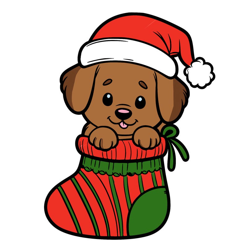 cute puppy wearing santa hat in socking
