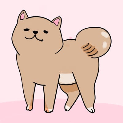 animals_29