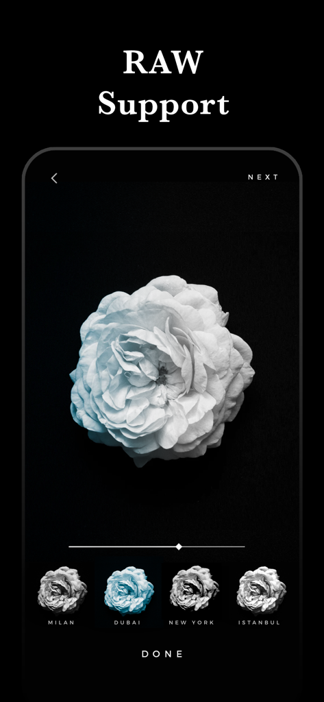 Carbon - B&W Filters & Effects - Carbon-App-Oberfläche mit RAW-Unterstützung für die Schwarz-Weiß-Fotobearbeitung einer Rose.