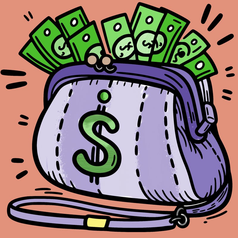 a purse with money