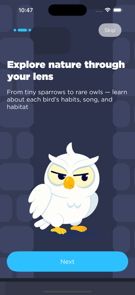 Wingsу Lеns - Pantalla de incorporación de Wingsy Lens con un búho de dibujos animados blanco y texto sobre la exploración de la naturaleza y los hábitos de las aves.
