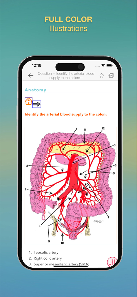 Surgical Recall - 結腸への動脈血供給の解剖学的図をフルカラーで表示するSurgical Recallアプリ