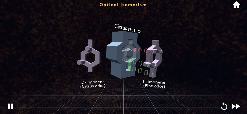 MEL VR Science Simulations - A 3D molecular simulation of optical isomerism showing D-limonene and L-limonene molecules interacting with a citrus receptor