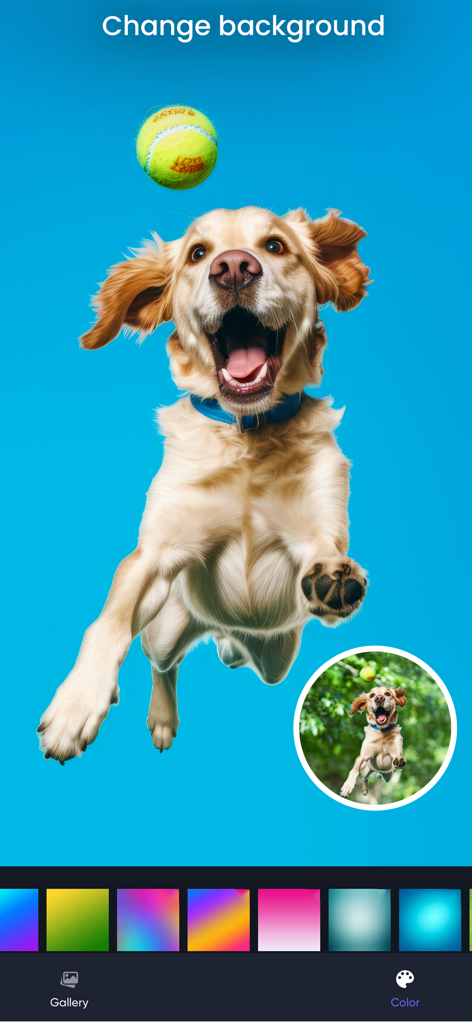 Erase Objects: Remove Object - A photo editing app interface showing a jumping dog with its background changed from a park to a vibrant blue color