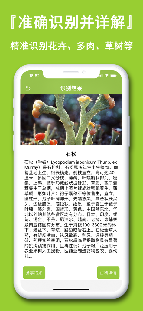 植物识别-认识植物图鉴平台 - Screenshot einer mobilen App, der genaue Pflanzenidentifikationsergebnisse und eine detaillierte botanische Beschreibung zeigt