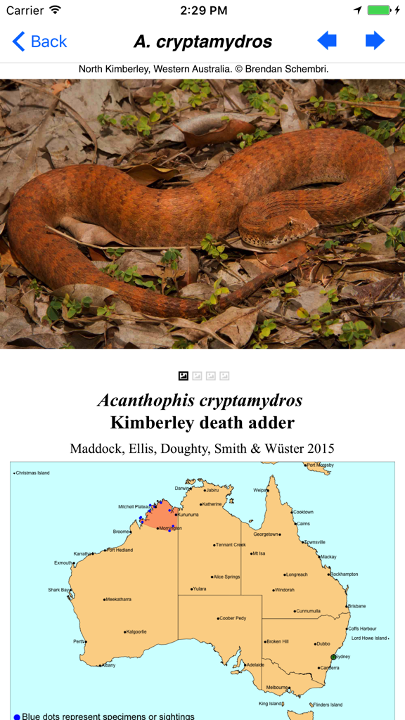 Snakes of Australia - Species profile of the Kimberley death adder in the Snakes of Australia app with photo and distribution map.