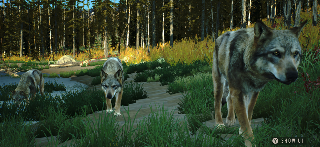 Way of the Hunter Wild America - A pack of wolves walking through a forest in Way of the Hunter Wild America