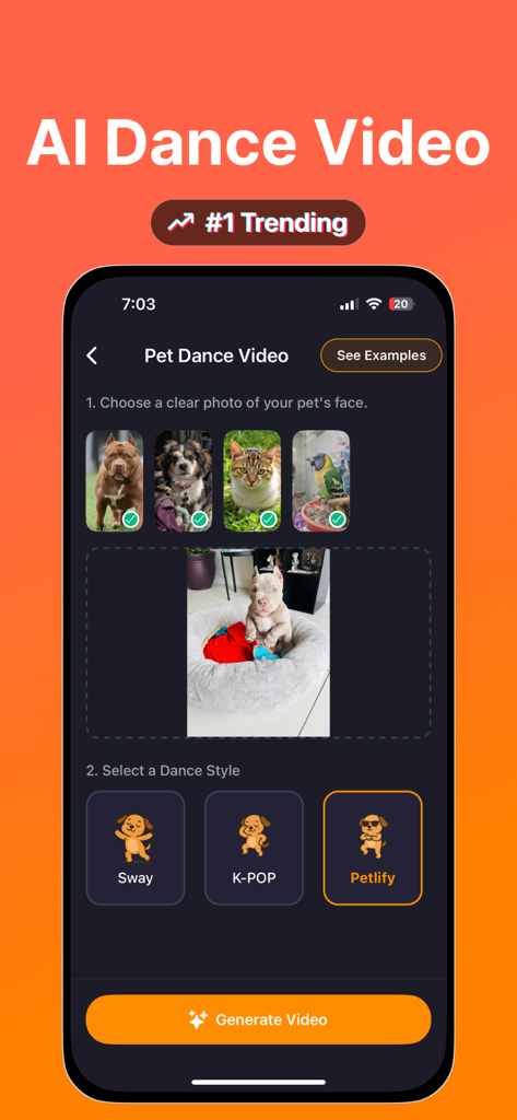 AI Pet Dance - Petlify Video - Interface para criar um vídeo de dança de pet com opções de seleção de fotos e estilos de dança como K-Pop