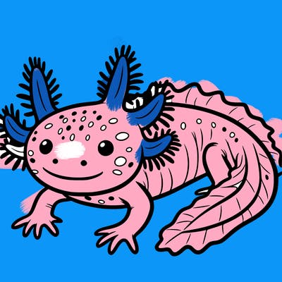 axolotl