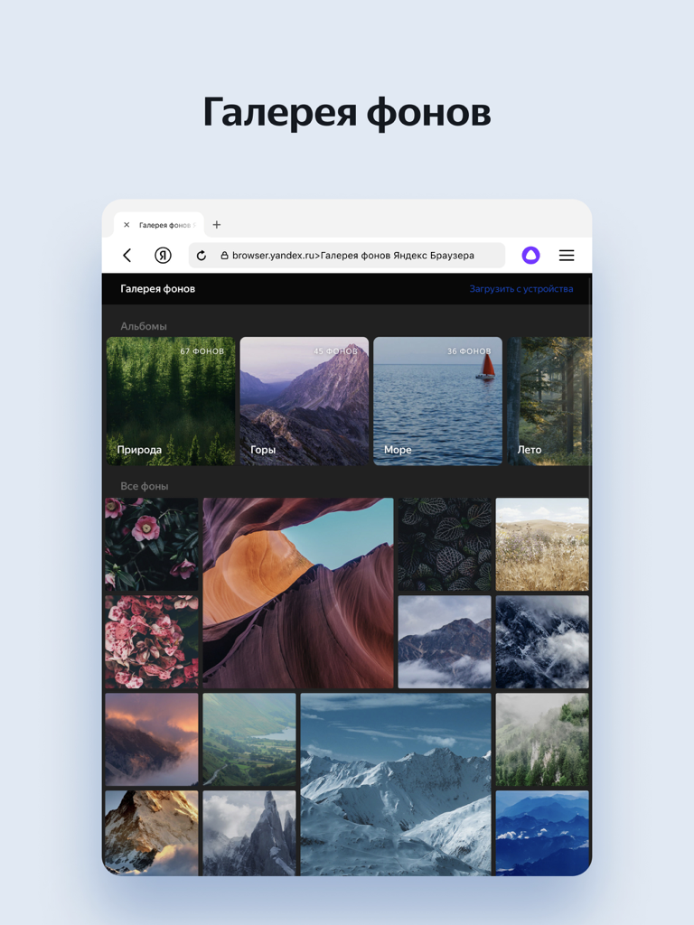 Yandex Browser for iPad - Yandex Browser for iPad background gallery showing nature and landscape customization options