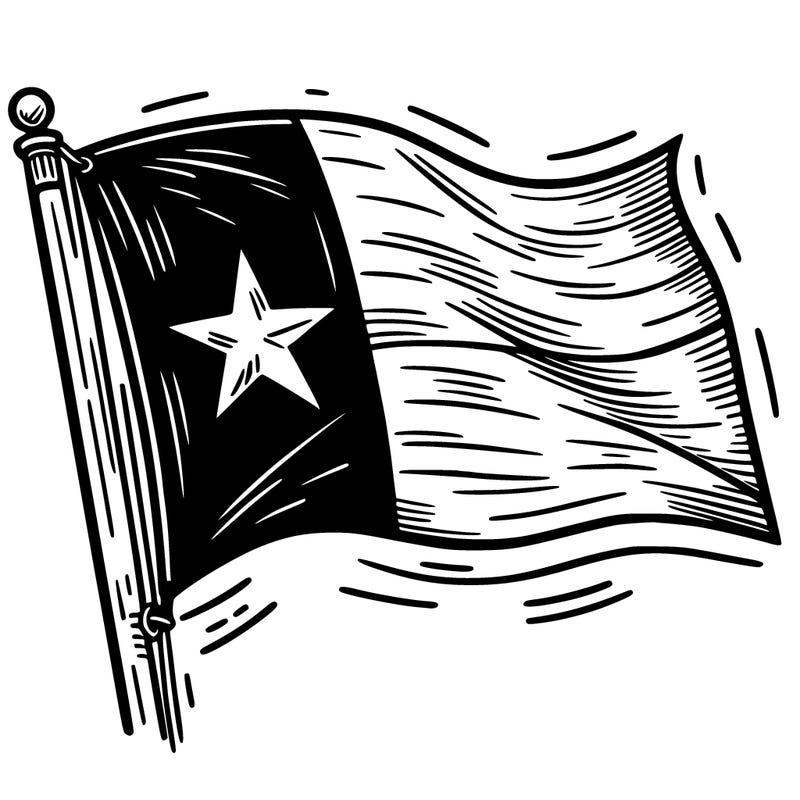 texas flag