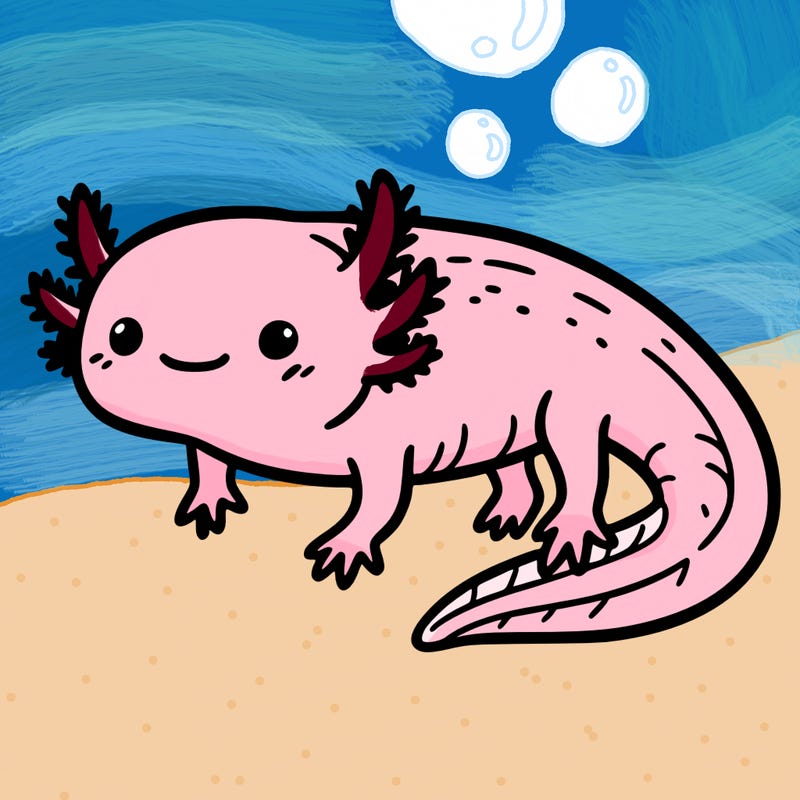 axolotl