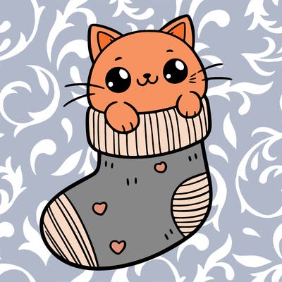 cute cat in a sock