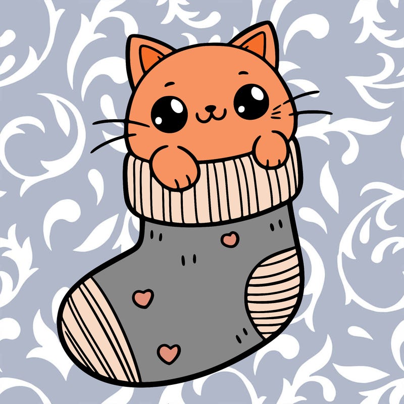cute cat in a sock