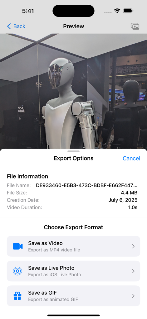 Motion2Live app interface showing export options to save a motion photo as a Video, iOS Live Photo, or animated GIF