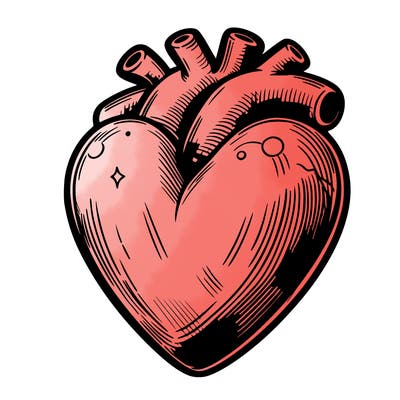 realistic heart