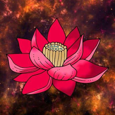 flowers_08