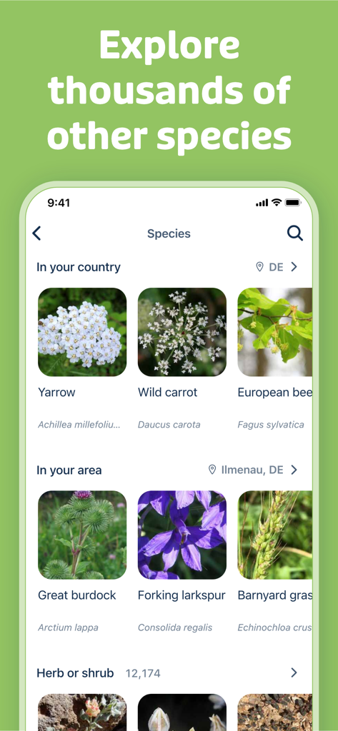 Schermata dell'app Flora Incognita che mostra un catalogo di specie vegetali locali e nazionali con foto e nomi scientifici