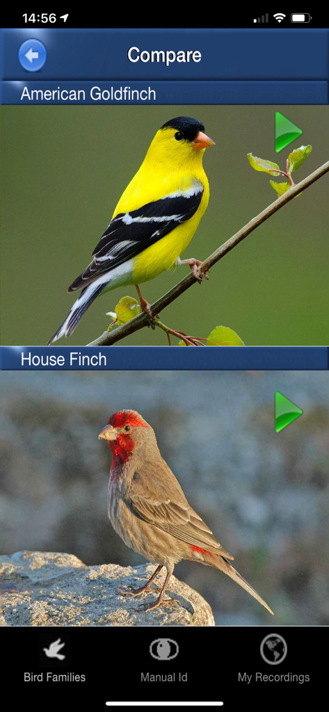 Pantalla de comparación que muestra las especies de Jilguero Americano y Pinzón Mexicano en la aplicación Bird Song Id USA