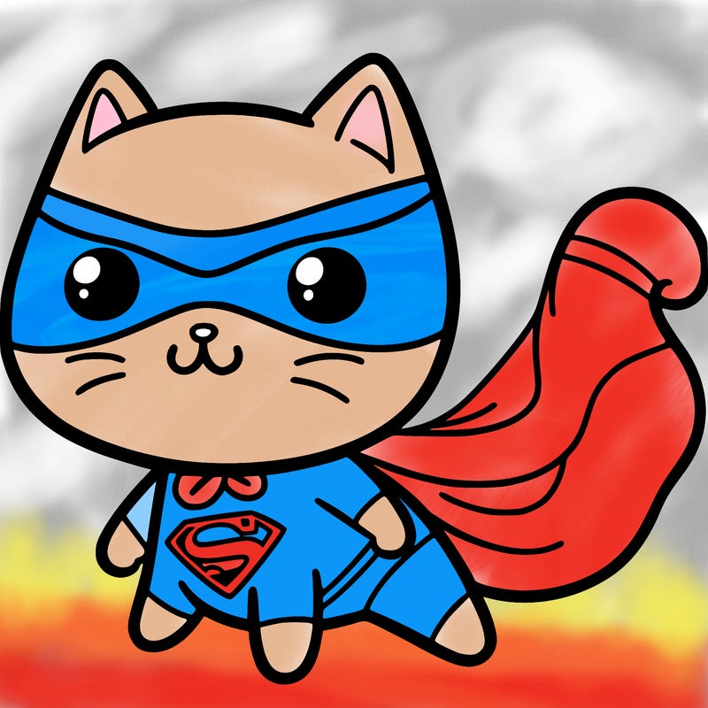 a superhero cat