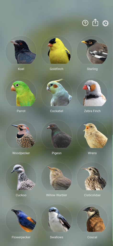 Bird Sounds Relax - Un menu di icone di diverse specie di uccelli nell'app Bird Sounds Relax tra cui un cardellino un pappagallo e un calopsitta