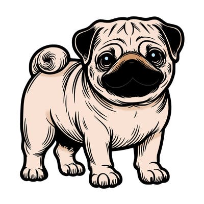 pug