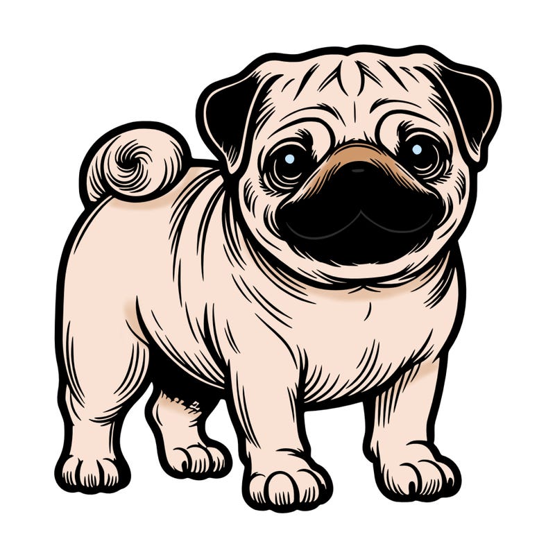 pug