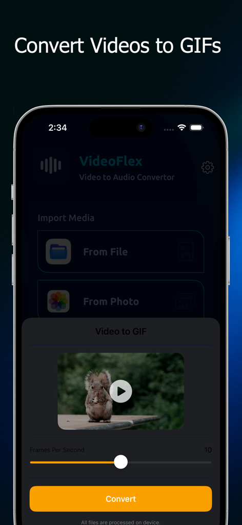 Interface of the VideoFlex app showing how to convert a video clip into a GIF on an iPhone