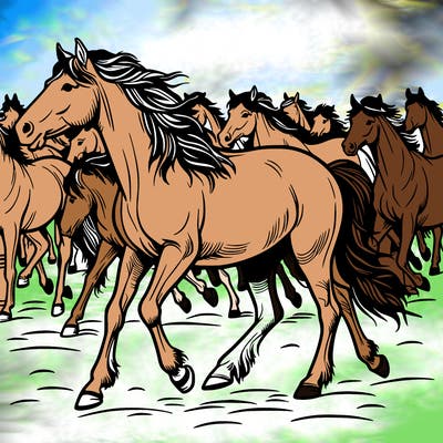 wild herd of horses
