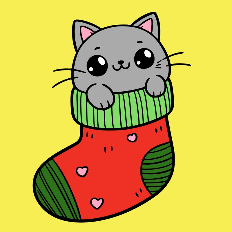 cute cat in a sock