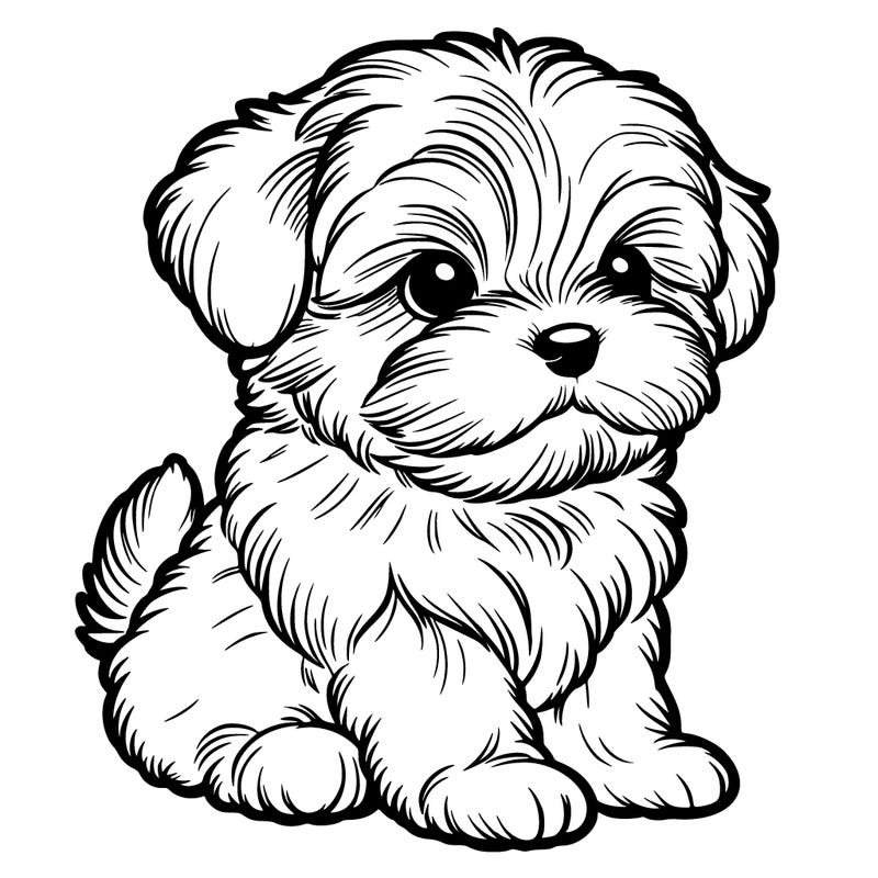 a realistic fluffy small puppy