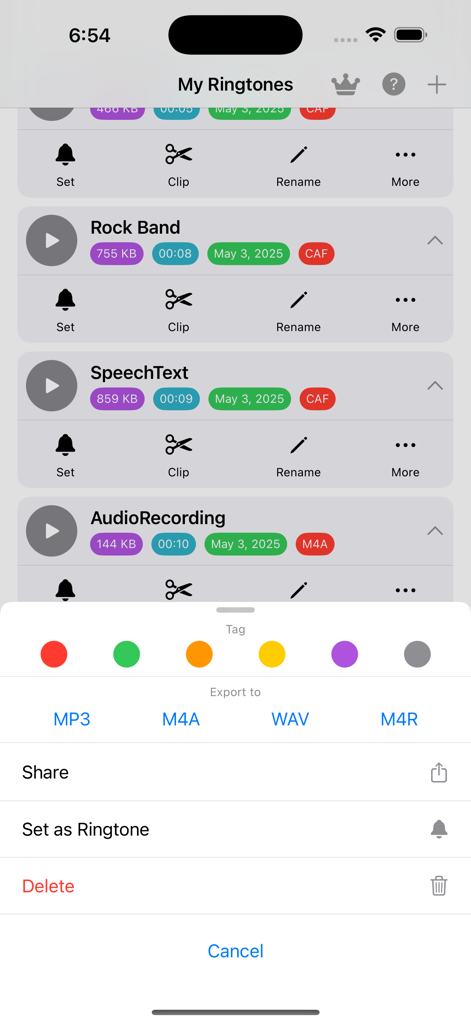 Set Ringtone - Interfaz de la aplicación Set Ringtone mostrando una lista de archivos de audio con opciones de exportación y gestión en un iPhone