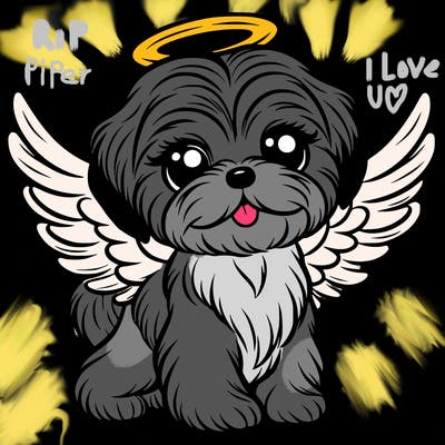 a new shih tzu with angel wings