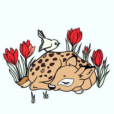 animals_61