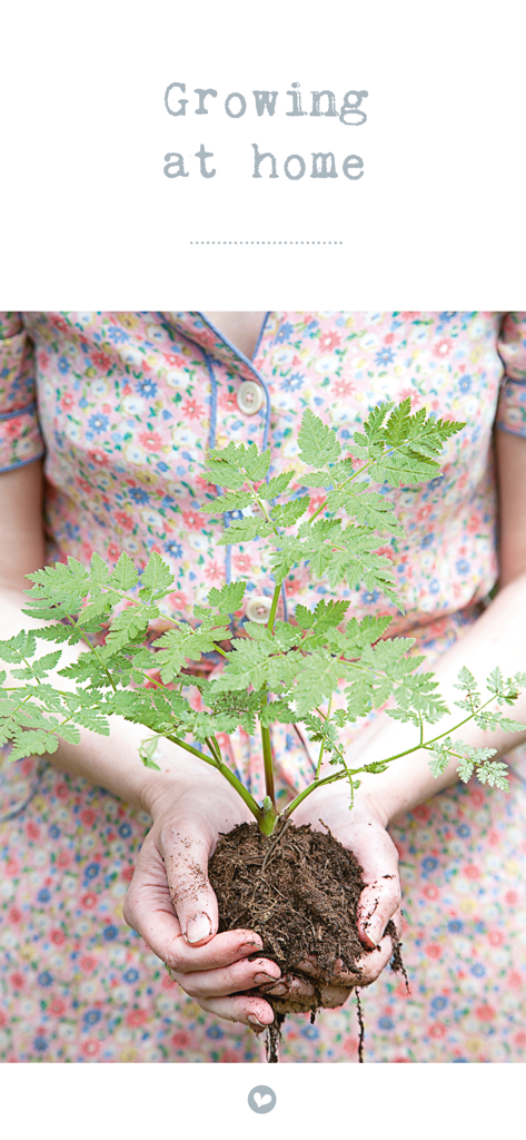 The Simple Things Magazine - A person in a floral dress holding a young green plant with soil in their hands under the heading Growing at home.