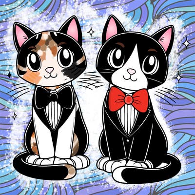 tuxedo cats