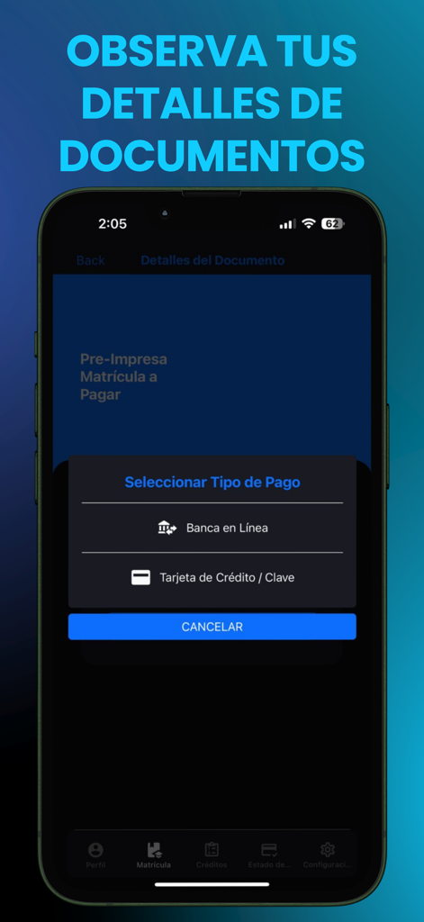 Pantalla de la aplicación Rincon Movil mostrando opciones de pago de matrícula universitaria que incluyen banca en línea y tarjeta de crédito