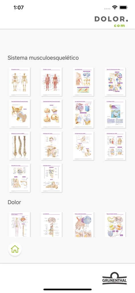App Dolor.com - Menú de anatomía médica y gráficos de diagnóstico de dolor de App Dolor.com.