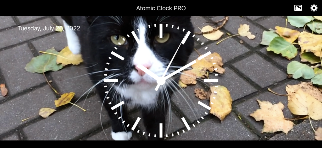 Atomic Clock PRO - Analogue clock face with a custom cat background image in landscape mode