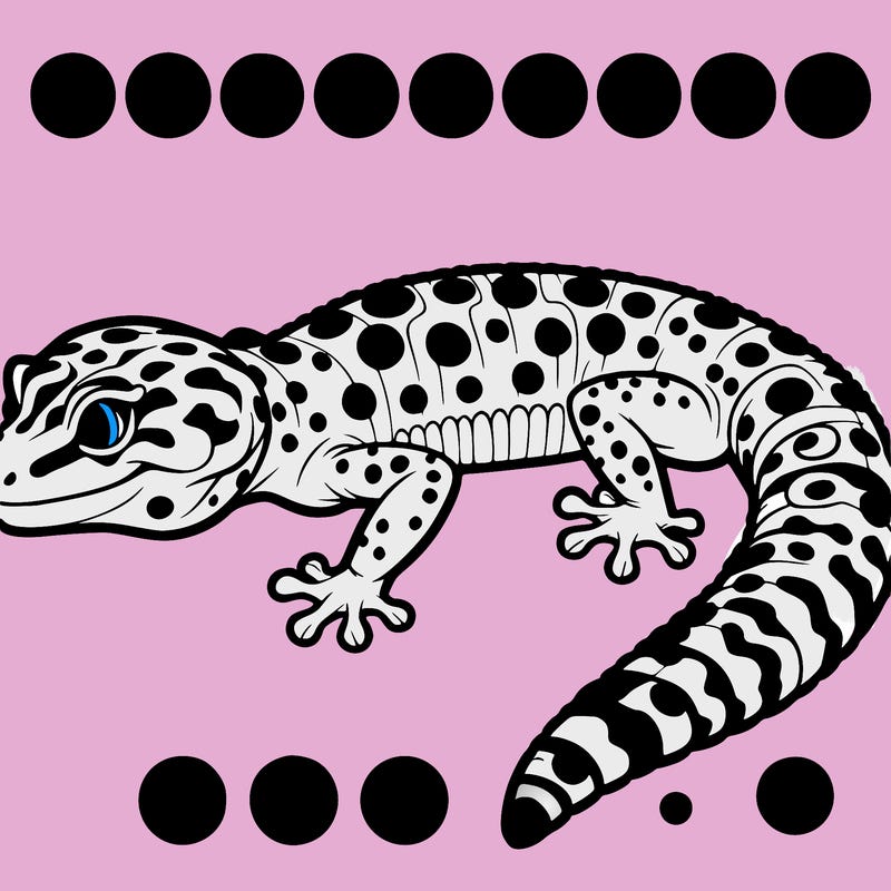 leopard gecko